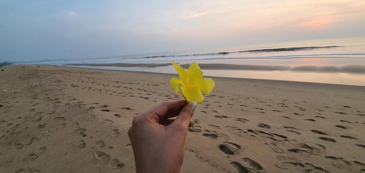 Blue Lagoon Beach Resort Gokarna  Eksteriør billede